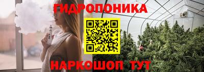 стаф Краснокаменск