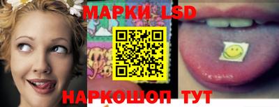 спиды Краснодар
