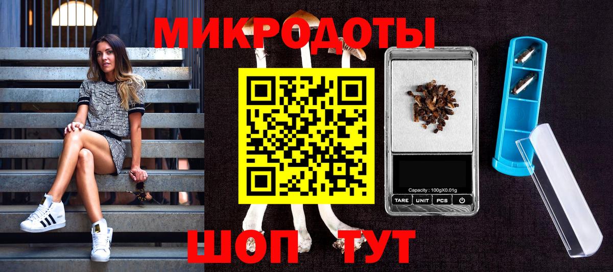 Псилоцибиновые грибы мицелий Камышин