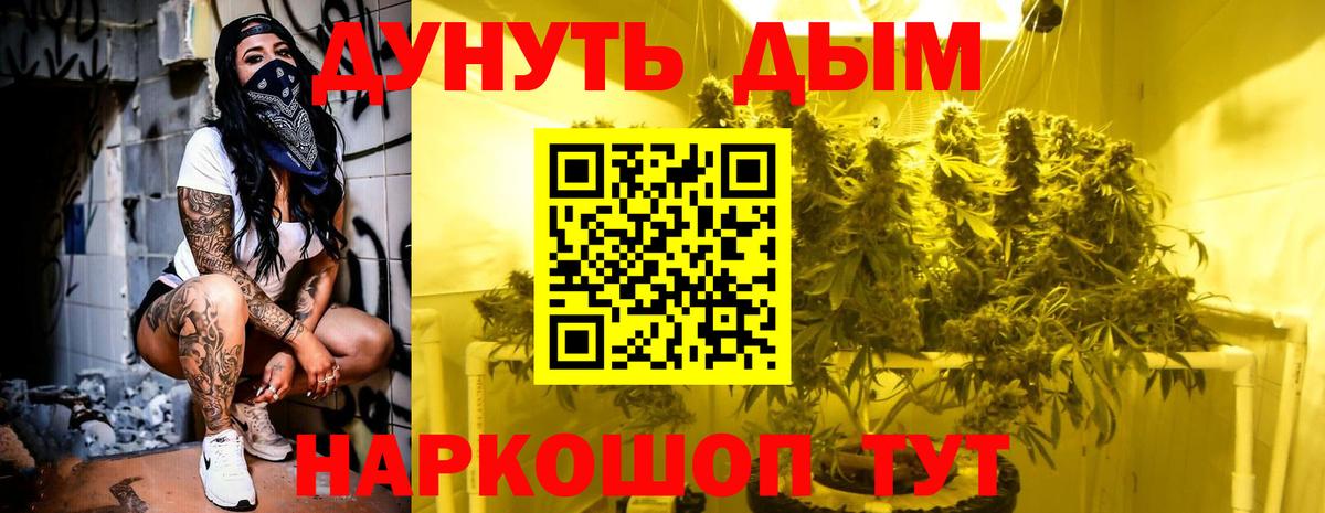Канабис White Widow  Бошки марихуана OG Kush  Марихуана VHQ  Камышин  Вход с VPN  Бошки марихуана индика 